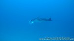 Reethi2011-0900.jpg