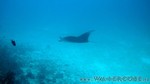 Reethi2011-0904.jpg