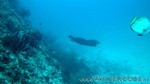 Reethi2011-0907.jpg
