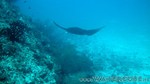 Reethi2011-0908.jpg