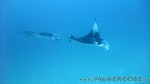 Reethi2011-0913.jpg