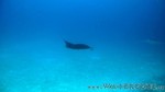 Reethi2011-0918.jpg
