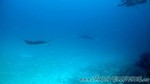 Reethi2011-0919.jpg