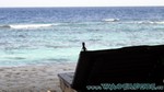 Reethi2011-1007.jpg