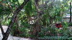 Reethi2011-1038.jpg