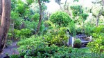 Reethi2011-1044.jpg