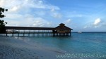 Reethi2011-1047.jpg