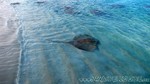 Reethi2011-1051.jpg