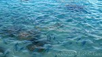 Reethi2011-1063.jpg