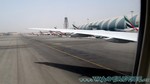 Reethi2011-1141.jpg