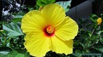 Hawaii-2012-022.jpg