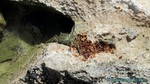 Hawaii-2012-159.jpg
