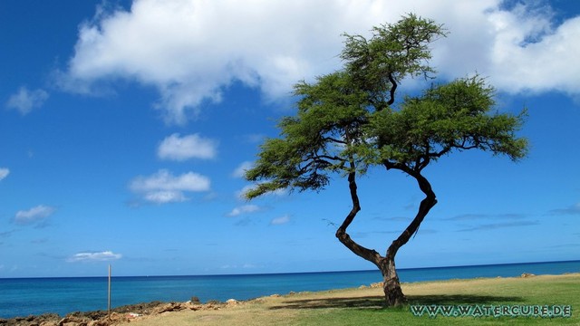 Hawaii-2012-161.jpg