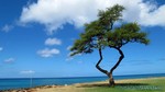 Hawaii-2012-161.jpg
