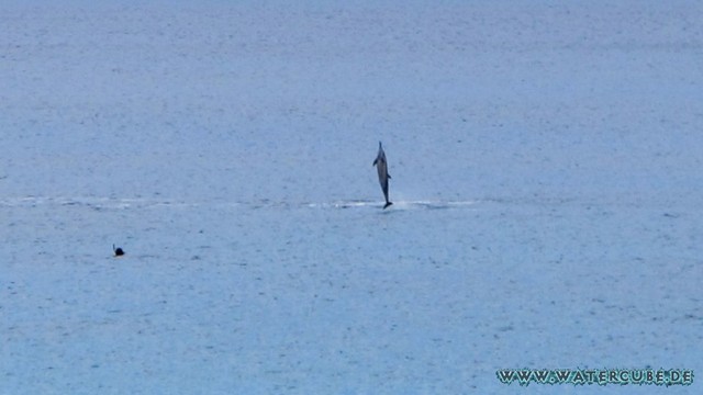 Hawaii-2012-173.jpg