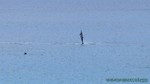 Hawaii-2012-173.jpg