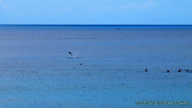 Hawaii-2012-174.jpg
