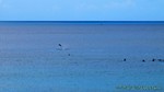 Hawaii-2012-174.jpg