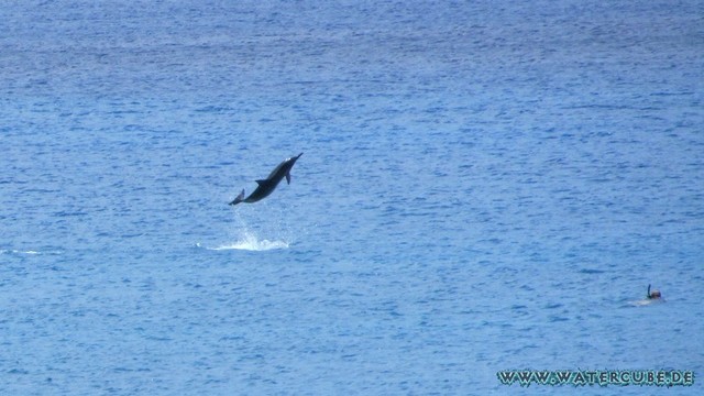 Hawaii-2012-175.jpg