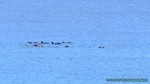 Hawaii-2012-176.jpg