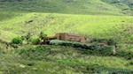 Hawaii-2012-180.jpg