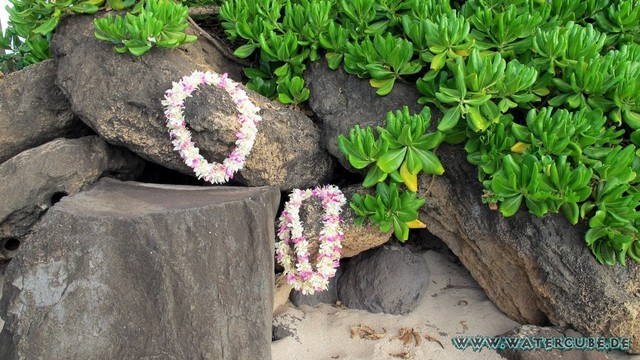 Hawaii-2012-189.jpg