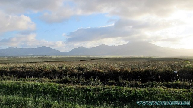 Hawaii-2012-195.jpg