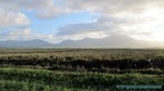Hawaii-2012-195.jpg