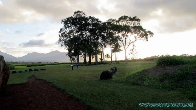 Hawaii-2012-196.jpg