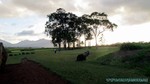 Hawaii-2012-196.jpg