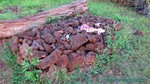 Hawaii-2012-197.jpg