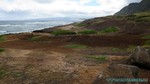Hawaii-2012-201.jpg