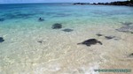 Hawaii-2012-204.jpg