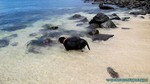 Hawaii-2012-205.jpg