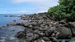 Hawaii-2012-206.jpg