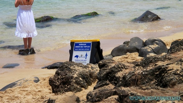 Hawaii-2012-207.jpg