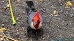 Hawaii-2012-209.jpg