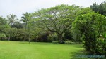 Hawaii-2012-212.jpg