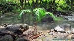 Hawaii-2012-214.jpg