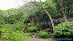 Hawaii-2012-218.jpg