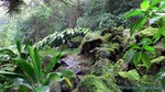 Hawaii-2012-219.jpg