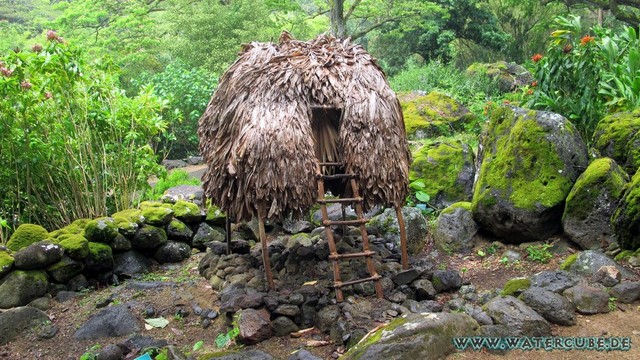 Hawaii-2012-220.jpg