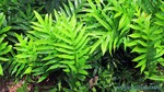 Hawaii-2012-222.jpg