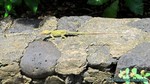 Hawaii-2012-224.jpg