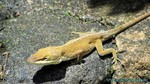 Hawaii-2012-225.jpg