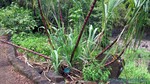 Hawaii-2012-229.jpg