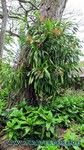 Hawaii-2012-230.jpg