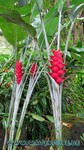 Hawaii-2012-233.jpg