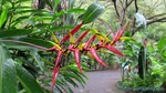 Hawaii-2012-234.jpg