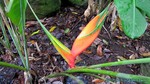 Hawaii-2012-235.jpg